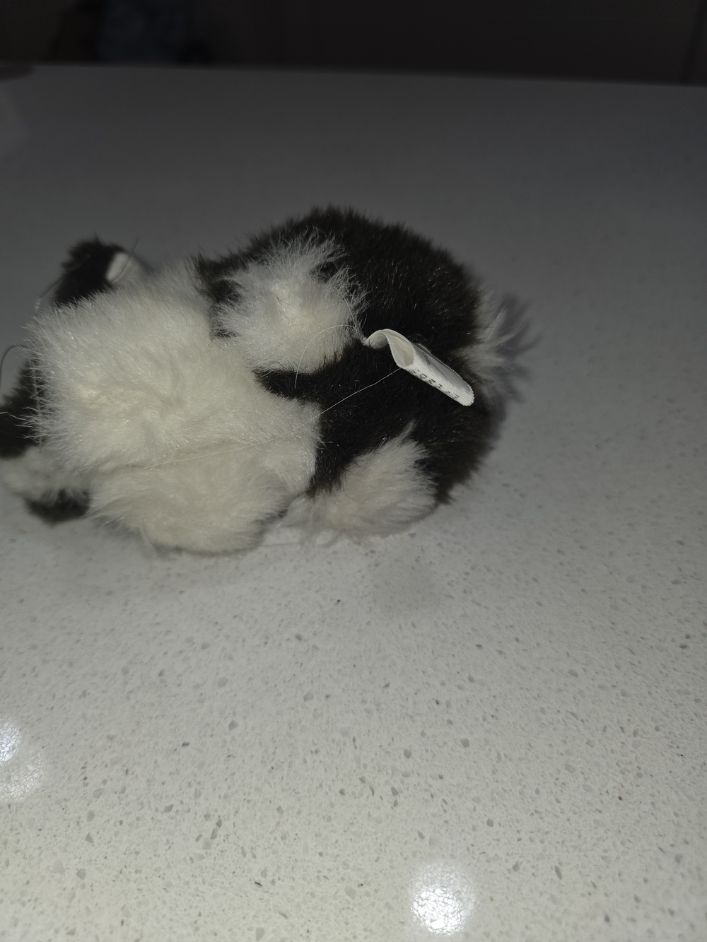 Black and White Small Pet Plush / Toy for Small Pets - Picture 5 of 6